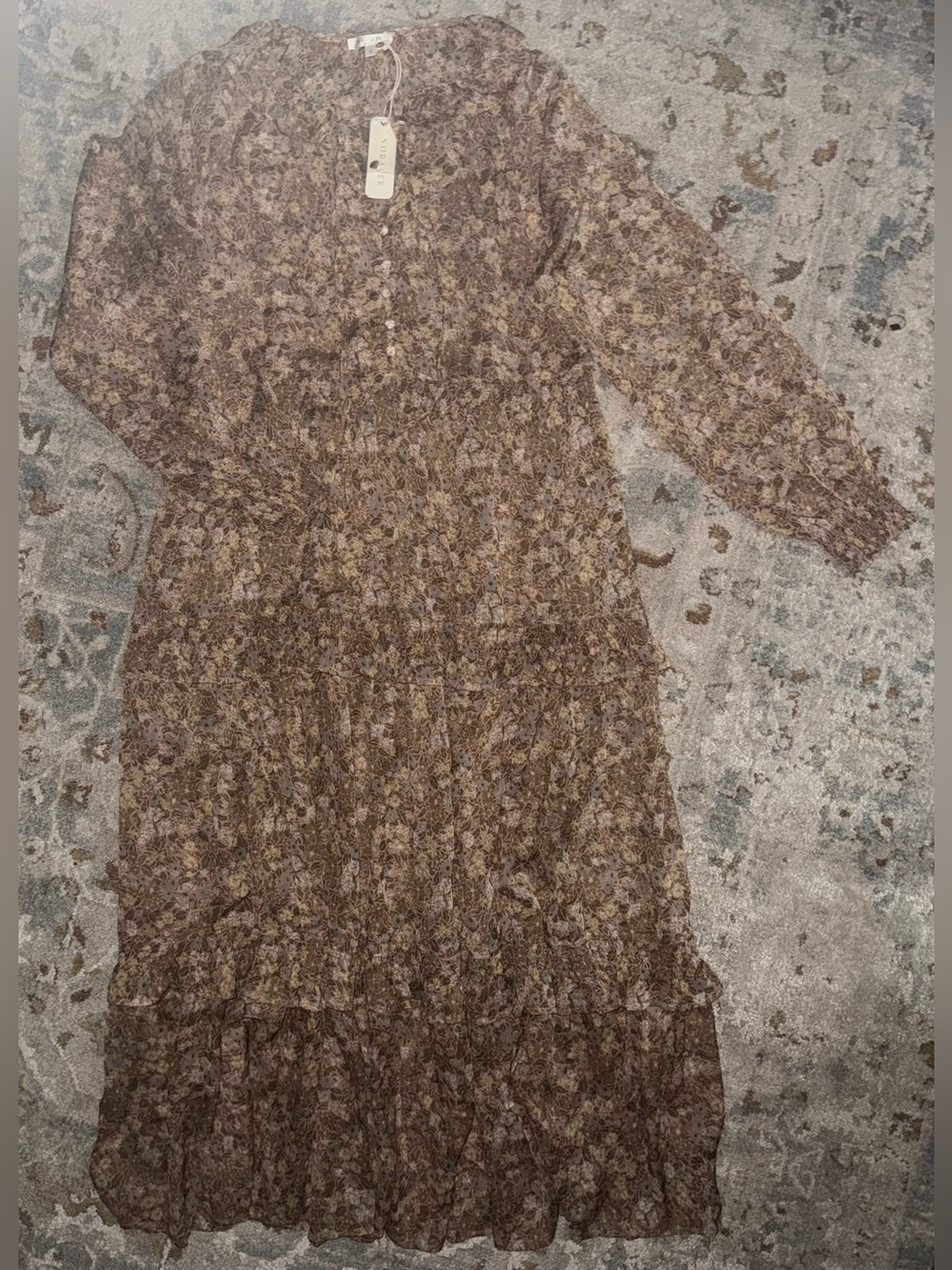Noralee Floral Sheer Tiered Long Sleeve Dress